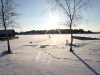 erica kotiutunut 165 : erica kotiutunut